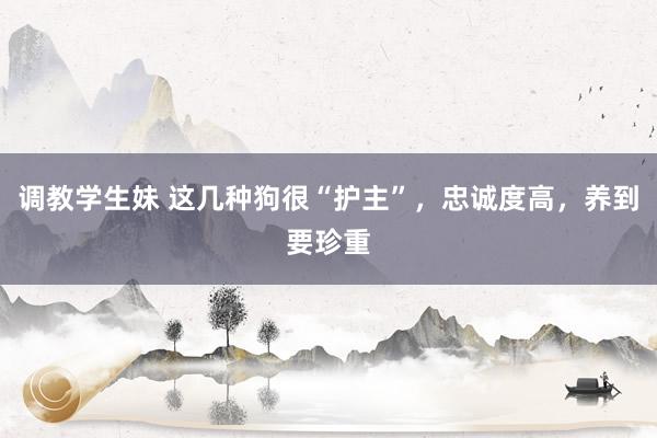 调教学生妹 这几种狗很“护主”，忠诚度高，养到要珍重