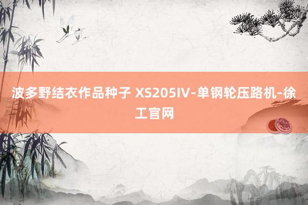 波多野结衣作品种子 XS205IV-单钢轮压路机-徐工官网