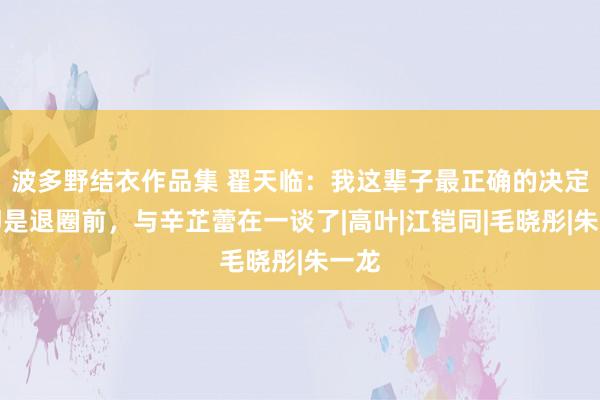 波多野结衣作品集 翟天临：我这辈子最正确的决定，即是退圈前，与辛芷蕾在一谈了|高叶|江铠同|毛晓彤|朱一龙