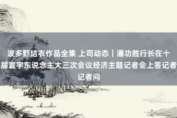 波多野结衣作品全集 上司动态｜潘功胜行长在十四届寰宇东说念主大三次会议经济主题记者会上答记者问