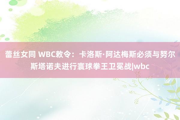 蕾丝女同 WBC敕令：卡洛斯·阿达梅斯必须与努尔斯塔诺夫进行寰球拳王卫冕战|wbc