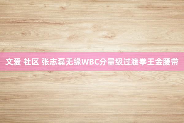 文爱 社区 张志磊无缘WBC分量级过渡拳王金腰带