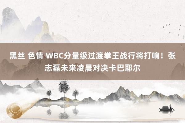 黑丝 色情 WBC分量级过渡拳王战行将打响！张志磊未来凌晨对决卡巴耶尔