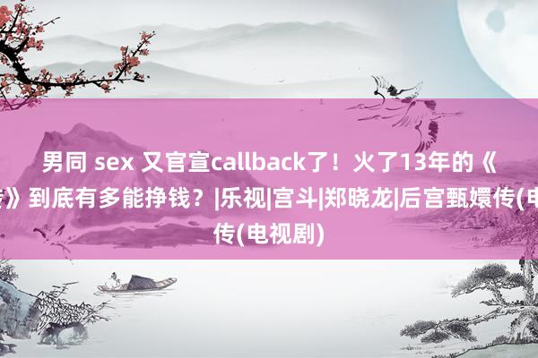男同 sex 又官宣callback了！火了13年的《甄嬛传》到底有多能挣钱？|乐视|宫斗|郑晓龙|后宫甄嬛传(电视剧)