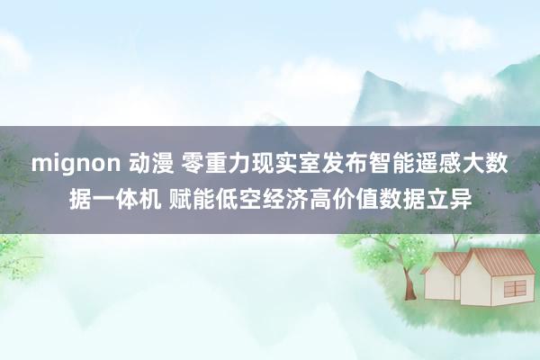 mignon 动漫 零重力现实室发布智能遥感大数据一体机 赋能低空经济高价值数据立异
