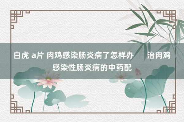 白虎 a片 肉鸡感染肠炎病了怎样办      治肉鸡感染性肠炎病的中药配