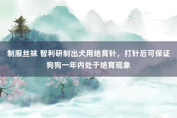 制服丝袜 智利研制出犬用绝育针，打针后可保证狗狗一年内处于绝育现象
