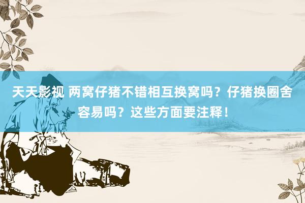 天天影视 两窝仔猪不错相互换窝吗？仔猪换圈舍容易吗？这些方面要注释！