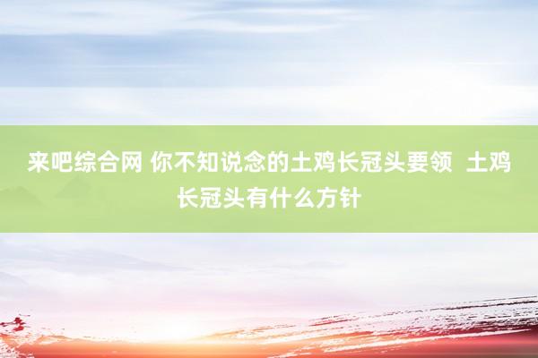 来吧综合网 你不知说念的土鸡长冠头要领  土鸡长冠头有什么方针
