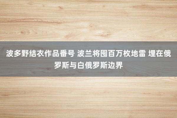 波多野结衣作品番号 波兰将囤百万枚地雷 埋在俄罗斯与白俄罗斯边界