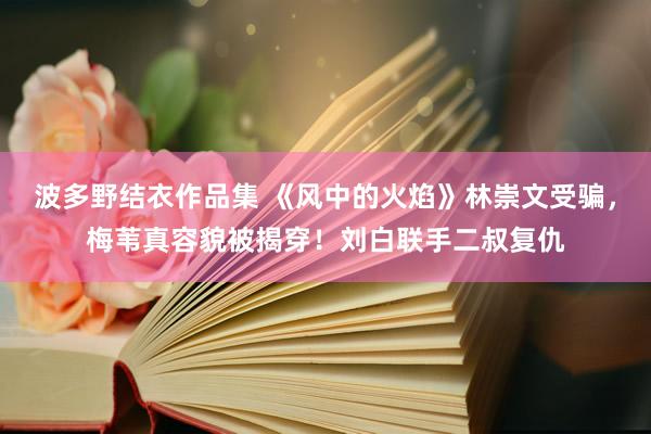波多野结衣作品集 《风中的火焰》林崇文受骗，梅苇真容貌被揭穿！刘白联手二叔复仇