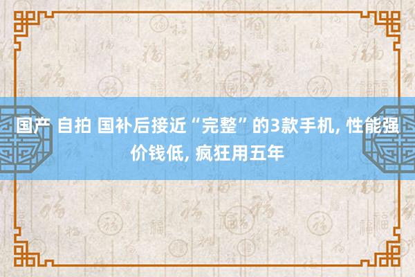 国产 自拍 国补后接近“完整”的3款手机， 性能强价钱低， 疯狂用五年