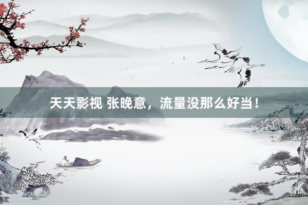 天天影视 张晚意，流量没那么好当！